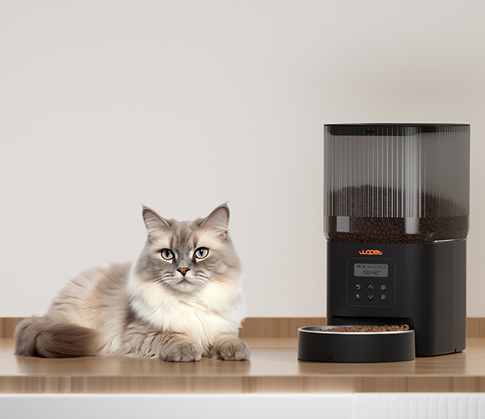 understading battery operated pet feeders