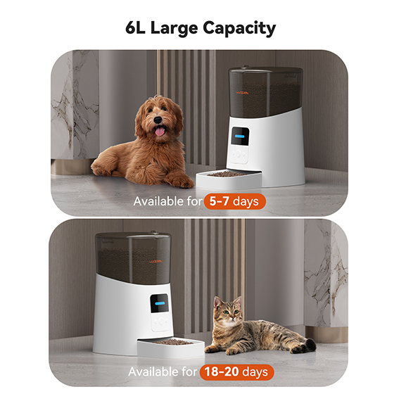 WOpet Automatic Pet Feeder WiFi Cat Feeder Remote Control丨Patrol