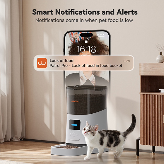 WOpet Automatic Pet Feeder WiFi Cat Feeder Remote Control丨Patrol