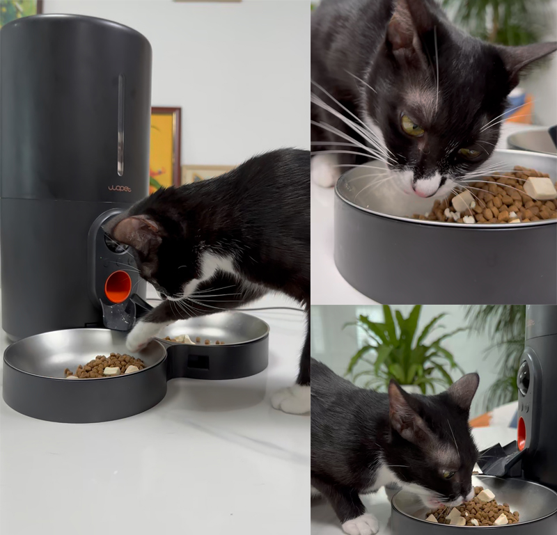 wopet automatic pet feeder with camera
