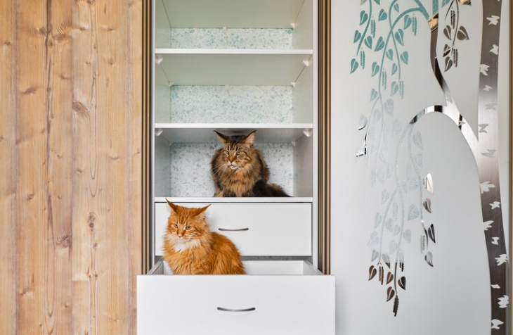 best call wall furniture at home